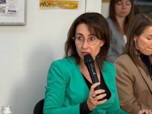 Итоги года и перспективы рынка недвижимости: профильный комитет ТПП Ставропольского края провел заключительное в 2025 году заседание